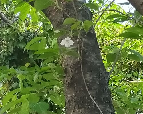 IMG20220417102957