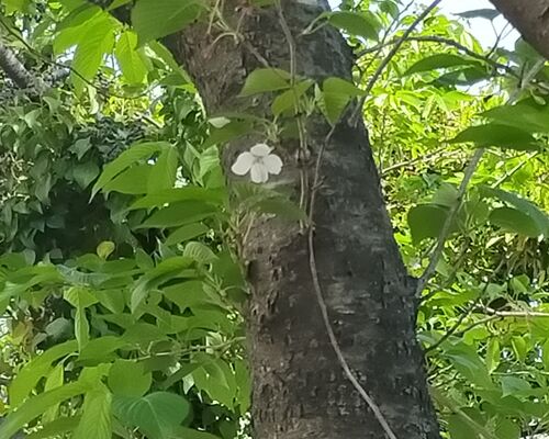 IMG20220417102957