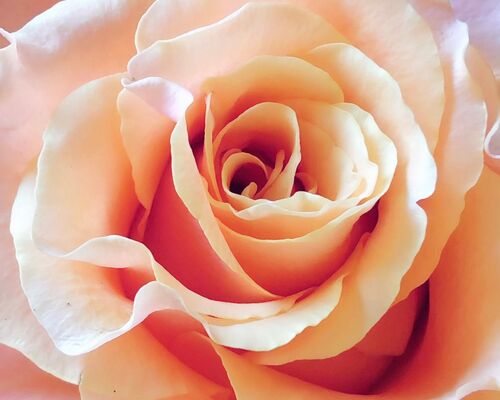 1655765760921